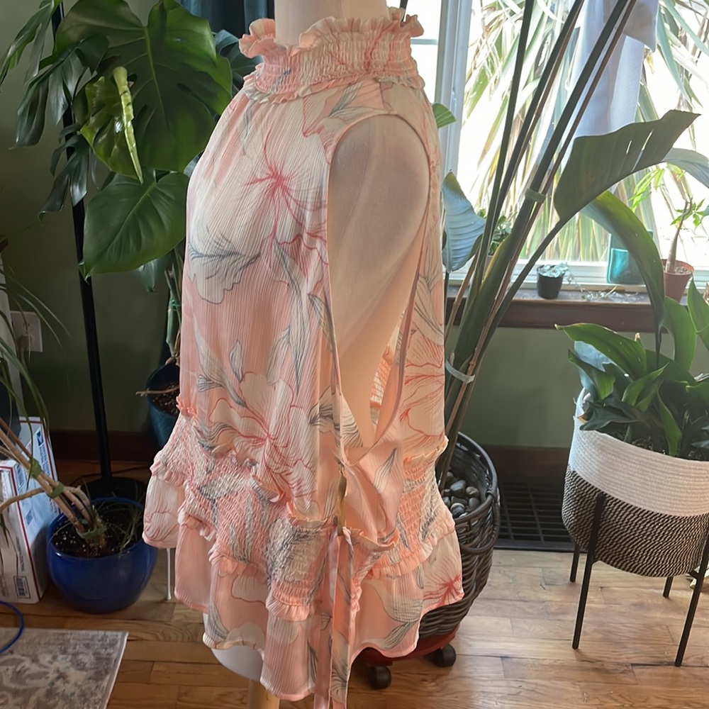 RyeGrass 3XL pink sheer peplum blouse with soft floral print and synch waist - Picture 4 of 13